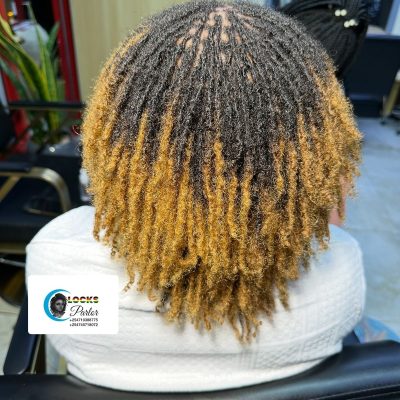 WhatsApp Image 2026-03-19 at 7.11.22 PM (1)